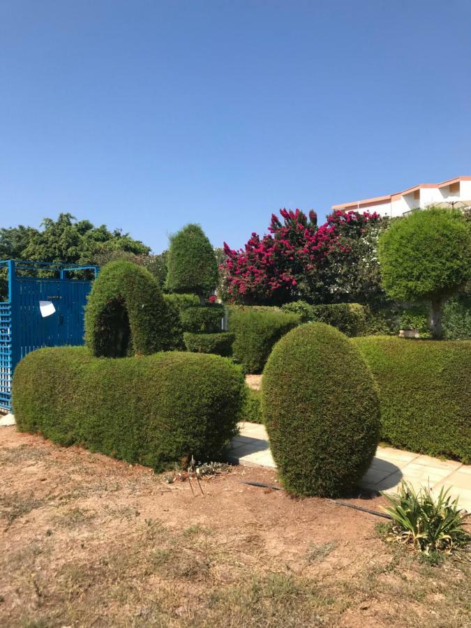 2 Bedroom Apartment-Mediterranean Type Paphos Luaran gambar
